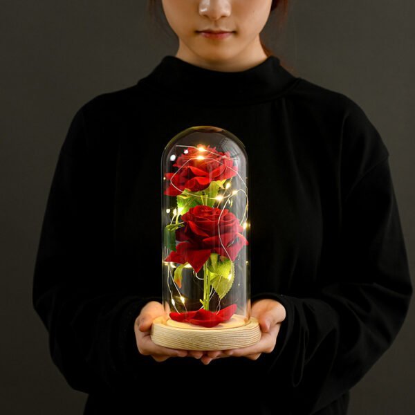 Premium Preserved Rose Flower